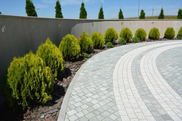 Best Local Driveway Pavers  in Boise, ID